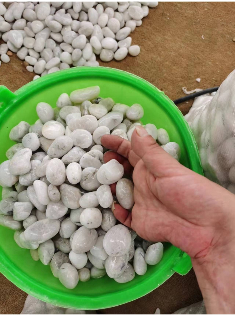 精品鹅卵石滤料 公园树坑铺路用雨花石 天然美观 江石汇a011