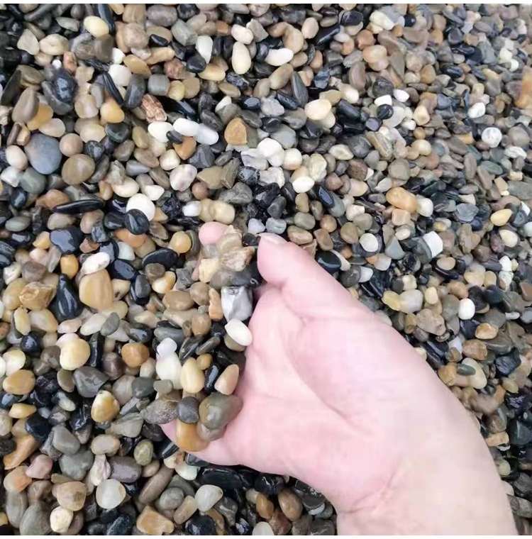 天然鹅卵石3-5公分水处理用 河道护坡河滩点缀石雨花石 规格齐全