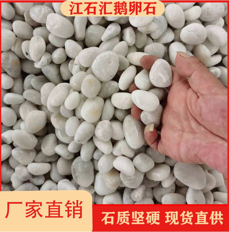 白色鹅卵石鱼缸石头园林景观石 别墅造景装饰雨花石 纹理清晰
