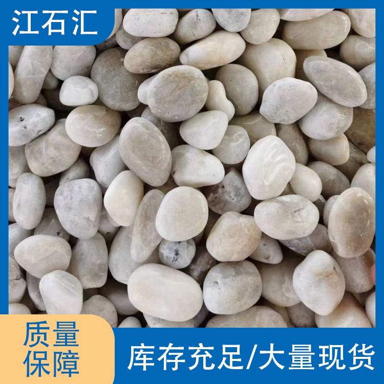 装饰造景白石子 园艺盆栽植物装饰用白色鹅卵石 现货销售 江石汇a033