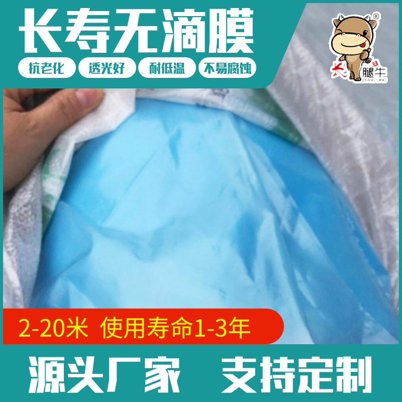 农用大棚膜PE长寿流滴淡蓝色抗老化蔬菜膜西瓜膜防膜无滴膜双膜