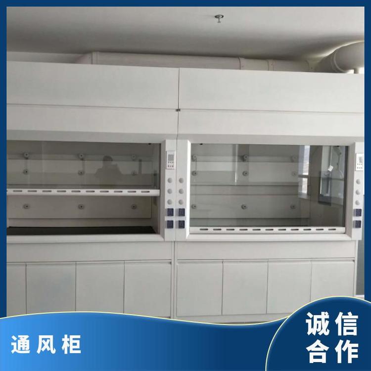 垚鑫 通风柜出售 实验室家具配套设备 安装方便 质量保障