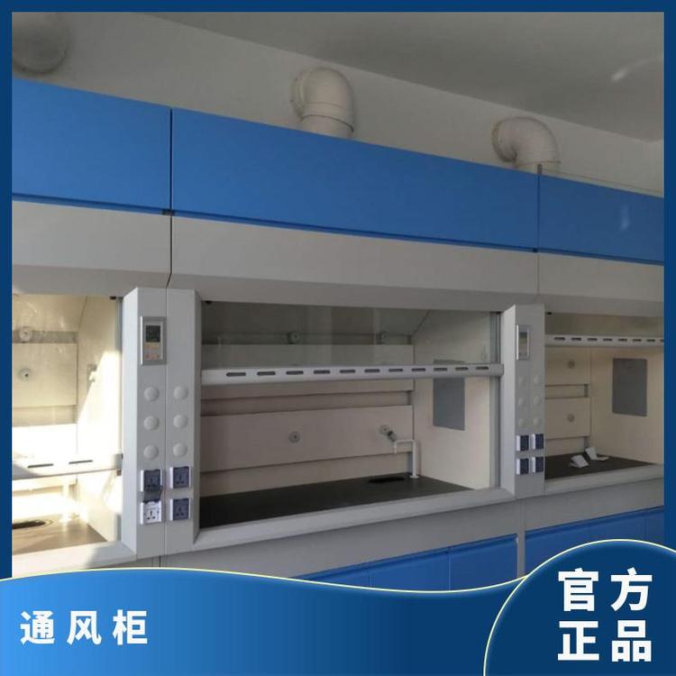 垚鑫 通风柜 自净化通风橱 节能环保 规格多样防撞无菌