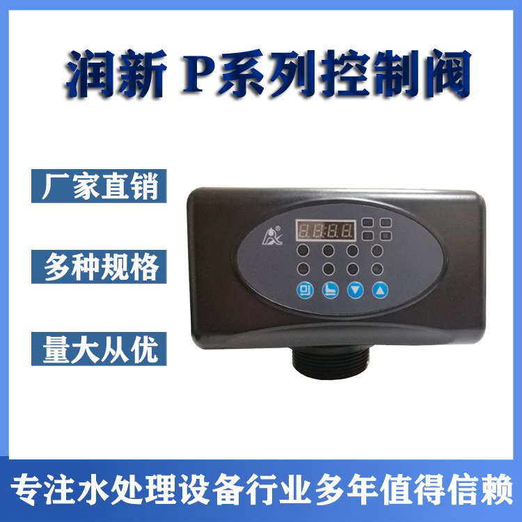 润新阀全自动软化阀饮料生产用纯水软化 流量型控制阀头F65P3
