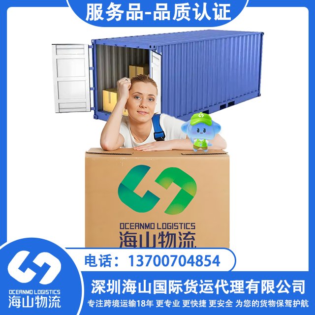 俄罗斯 空运铁运海运普货敏感超大件 整柜订舱 散货拼箱双清包税到门