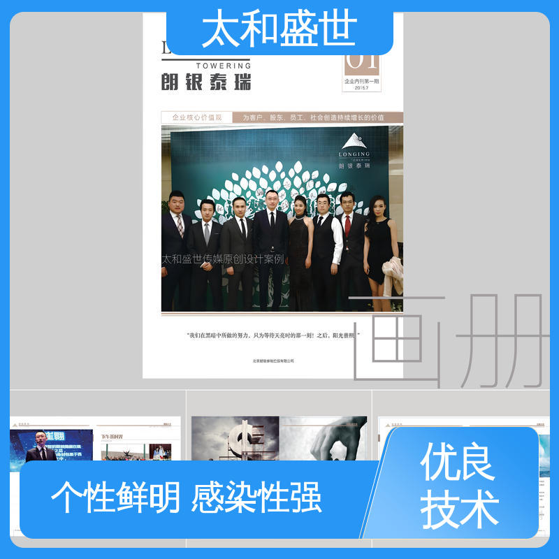 太和盛世 展示品牌实力 风格新颖 产品手册设计