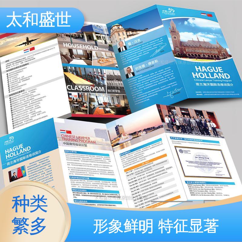 视觉焦点 书画艺术画册设计 风格新颖 太和盛世