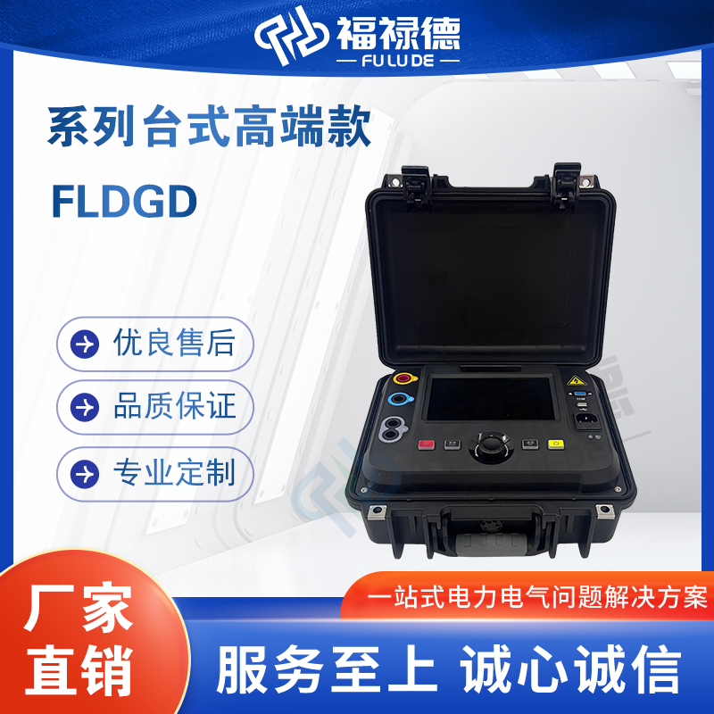 福禄德FLDGD系列台式高端绝缘电阻测试仪数字式电力设备厂家直供