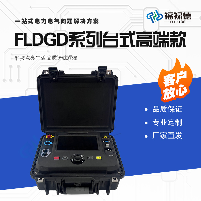 福禄德FLDGD系列绝缘电阻测试仪数字式台式款电力设备仪器可定制