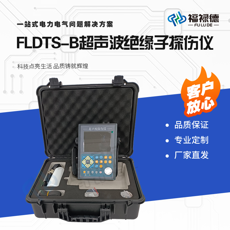 福禄德FLDTS-B超声波绝缘子探伤仪高精度专用探头数据实时处理器