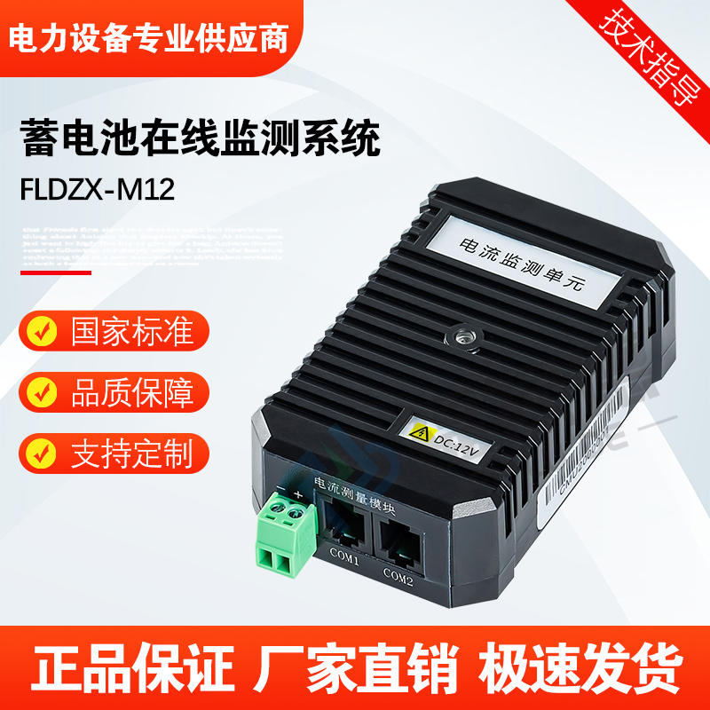 福禄德FLDZX-M12蓄电池在线监测系统多种通讯接口自动脉冲活化仪