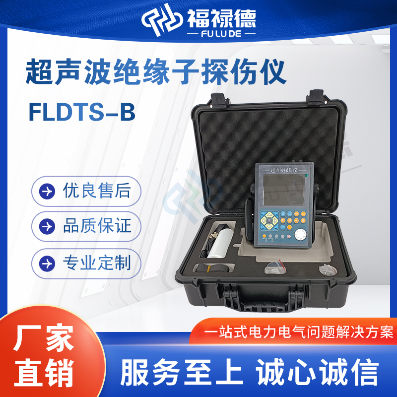 福禄德FLDTS-B超声波绝缘子探伤仪便携式管道数字检测仪电力设备