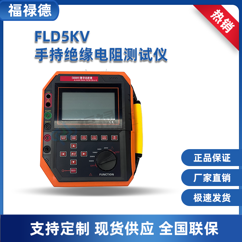 福禄德 FLD5000V手持绝缘电阻测试仪 可调兆欧表 电力检测仪器