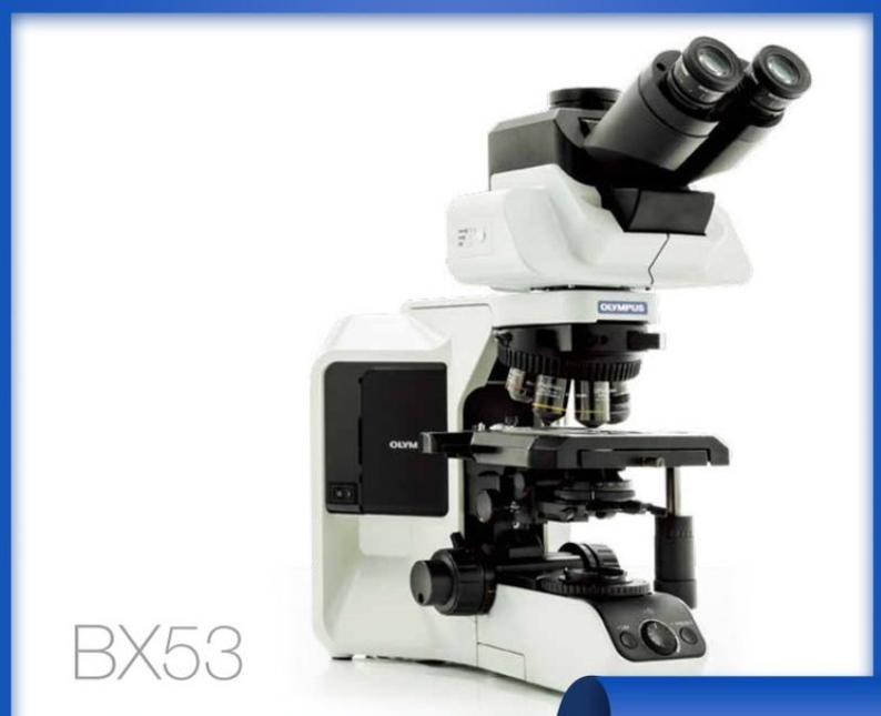 二手Olympus奥林巴斯显微镜材料科学细胞培养
