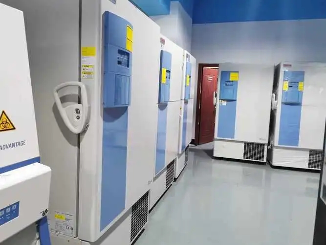 赛默飞 Thermo 8930086D 超低温冰箱提供多种存储容量选择