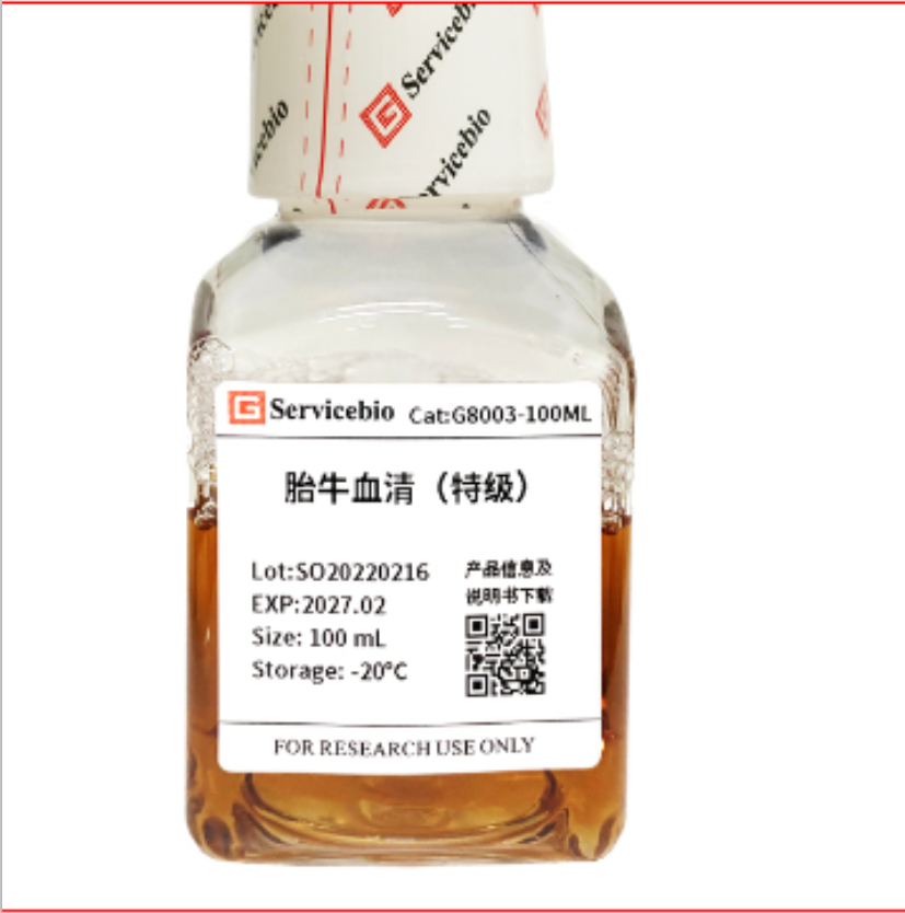 实了个验胎牛血清（特级） 细胞培养适用性广生长形态好活率高