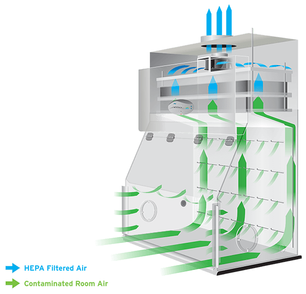 Thermo赛默飞1589-A生物安全柜可调节高性价比操作友好