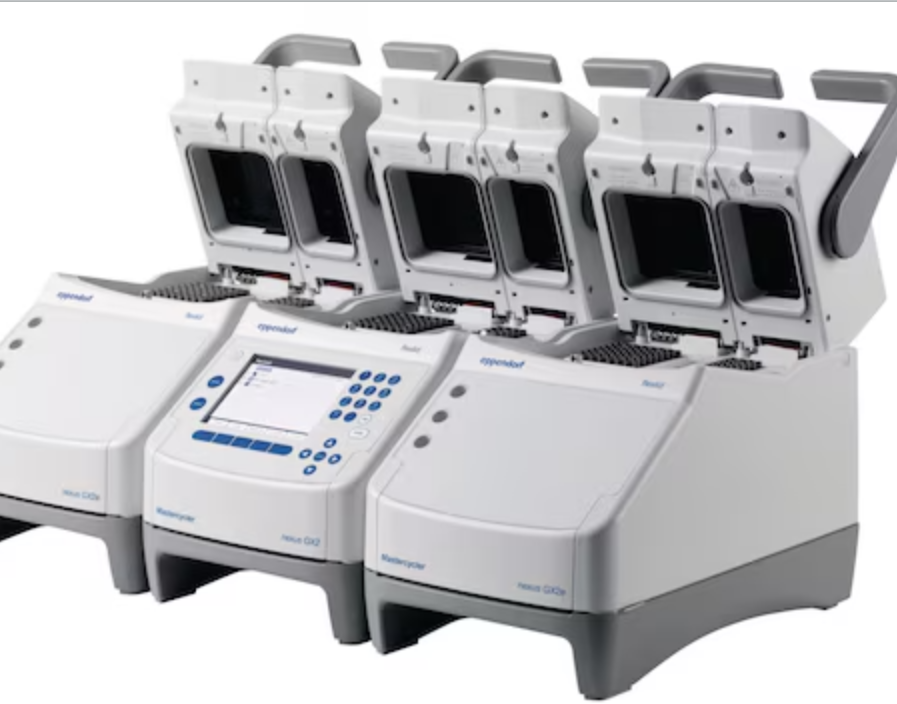 艾本德Mastercycler® X50iPCR热循环仪高精度温控高通量处理