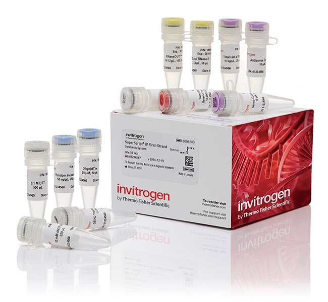 Invitrogen BODIPY™ 581/591 C11（脂质过氧化传感器）1 mgD3861