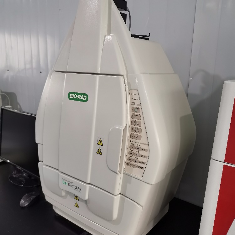 伯乐Gel Doc EZ170-8270凝胶成像仪紧凑设计易于操作分子生物学