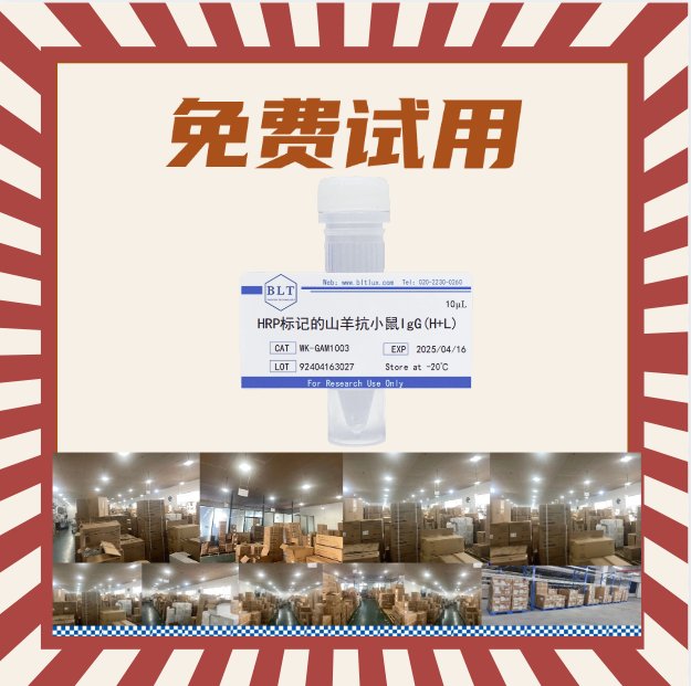 HRP酶标二抗HRP标记的山羊抗兔抗小鼠IgG(H+L)10μl厂家