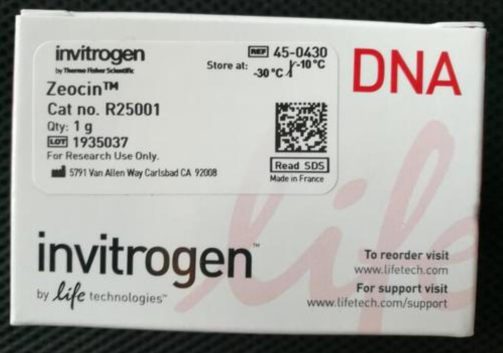 Invitrogen Zeocin™ 筛选试剂 R25001 8 x 1.25 mL 高效抗生素筛选进口