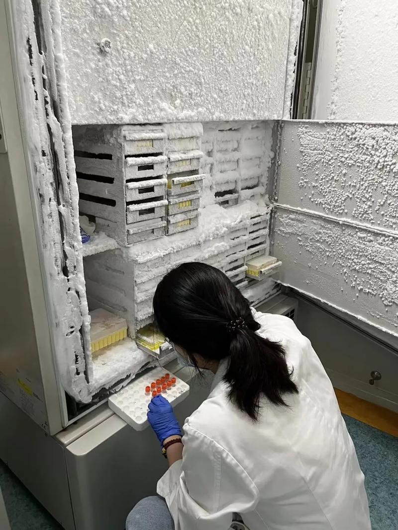 美国Thermofisher赛默飞Forma 900 系列超低温冰箱905-86℃单门立式