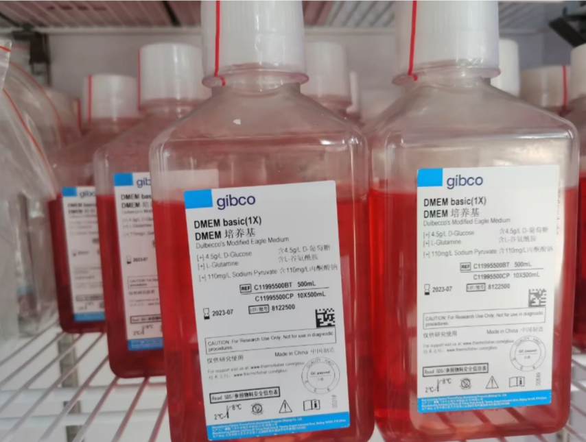 thermo赛默飞 Neurobasal™-A 培养基500 mL10888022细胞接种