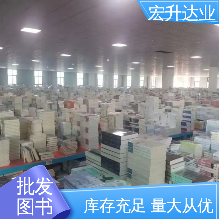 宏升达业 全新正版 项目投标合作 企事业单位用书