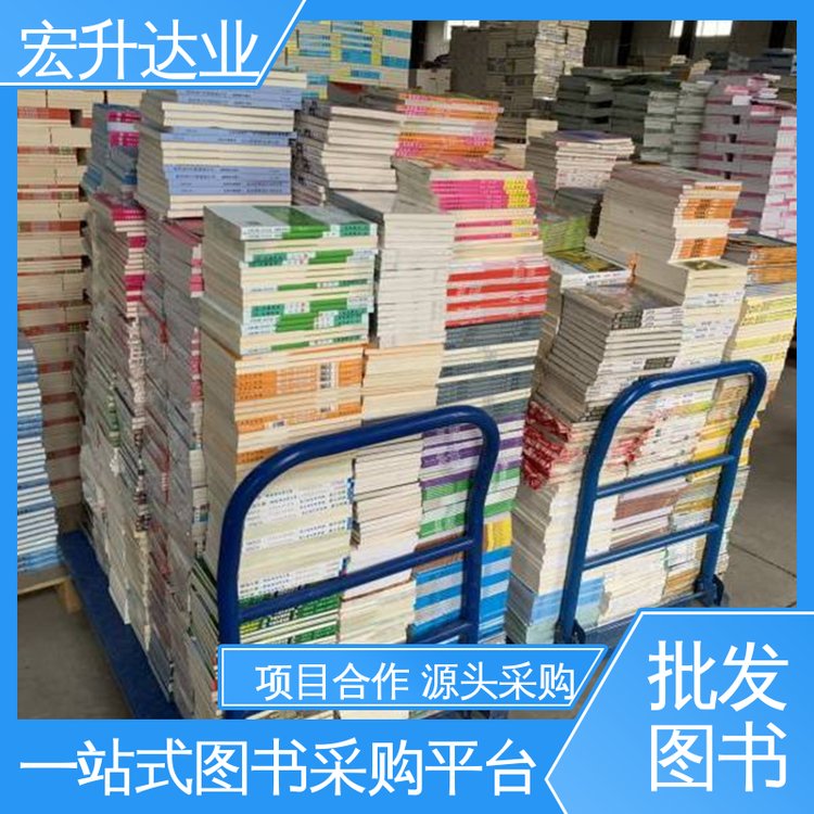项目投标合作 企事业单位用书 财经管理书籍 全新正版 宏升达业