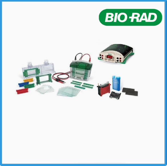 Bio-Rad伯乐小型垂直电泳槽电泳仪1658004电泳转印模块高流电源