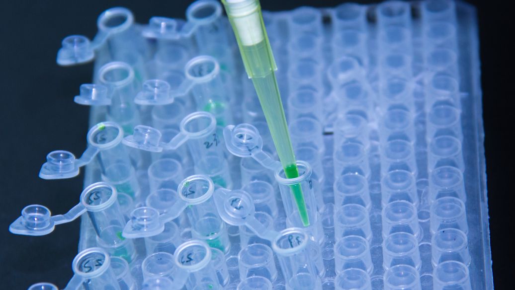 DMEM高糖细胞养殖基国外生物细胞培养基厂家实了个验