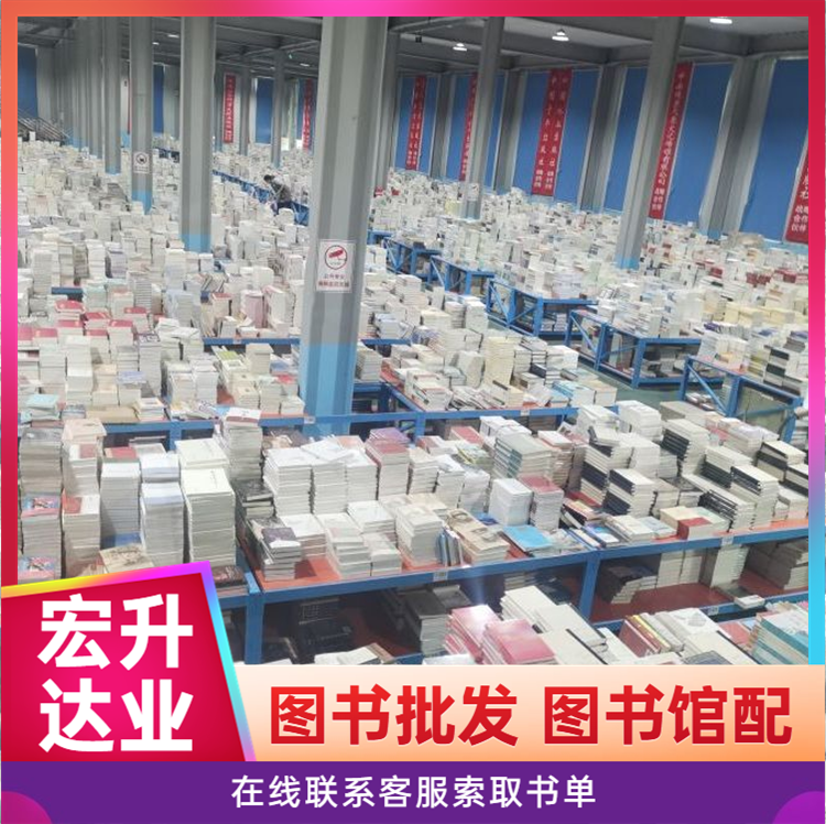 小说 社科 现货库存 品质优 图书馆配货 全新正版 宏升达业