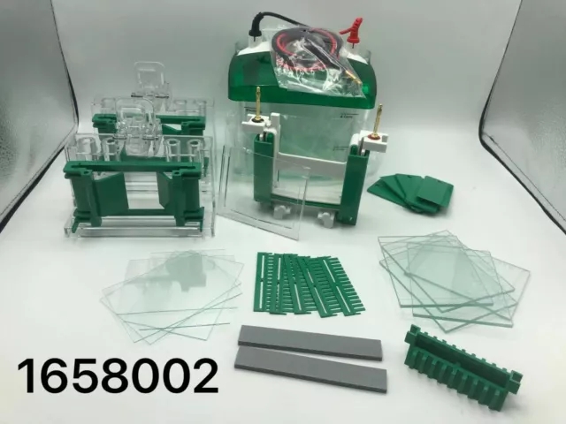 Bio-Rad伯乐电泳槽套装1658033（1658001+1645050+1703935）