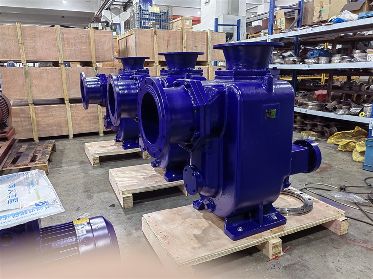 龙洋泵阀 ZW自吸排污泵 排泄过滤性能好 使用维修方便 现货充足