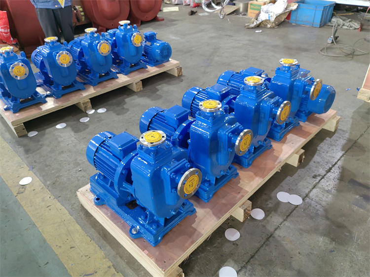 ZW自吸排污泵 龙洋泵阀 自吸性能好 排污能力强 高效节能