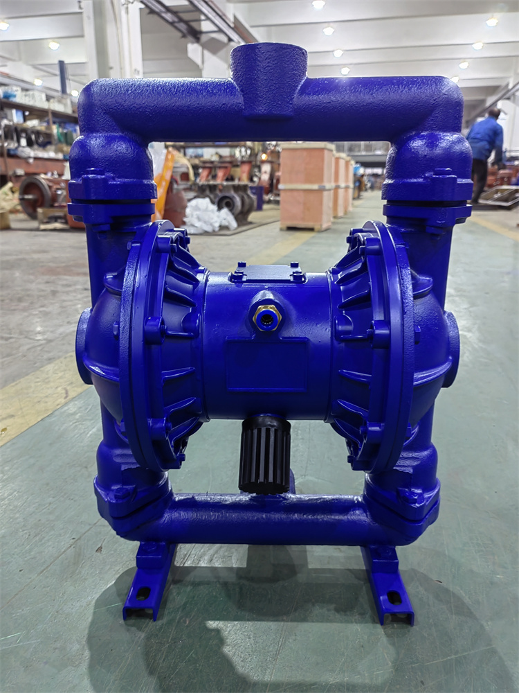 QBY-25铸铁气动隔膜泵 龙洋泵阀 防漏防爆 耐高温 制作精良