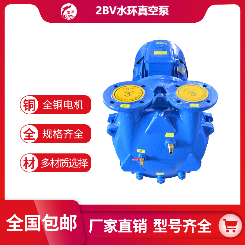 2BV系列 水环真空泵 电机直联设计 柔性排气口设计