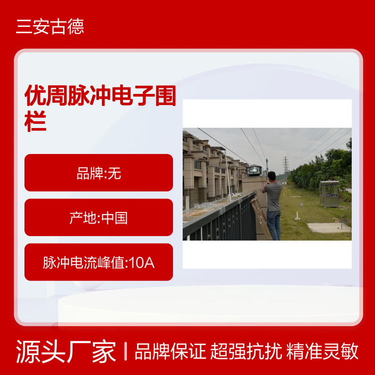优周脉冲电子围栏倾斜安装进口施工设计中国大陆