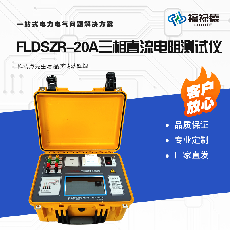 福禄德 FLDSZR-20A三相直流电阻测试仪 变压器绕组直阻检测仪 可定制