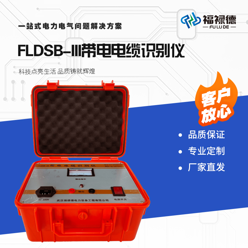 福禄德 FLDSB-III带电电缆识别仪 高低压故障测试仪路径仪定点 厂家