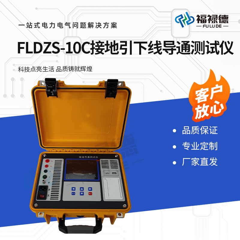 福禄德 FLDZS-10C 接地引下线导通测试仪 便携式电阻表 电力设备厂家