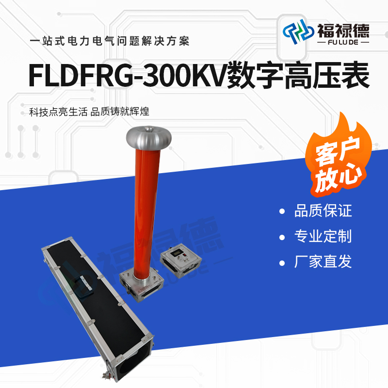 福禄德 FLDFRG-300KV 数字高压表 交直流分压器 千伏表 电力设备可定制