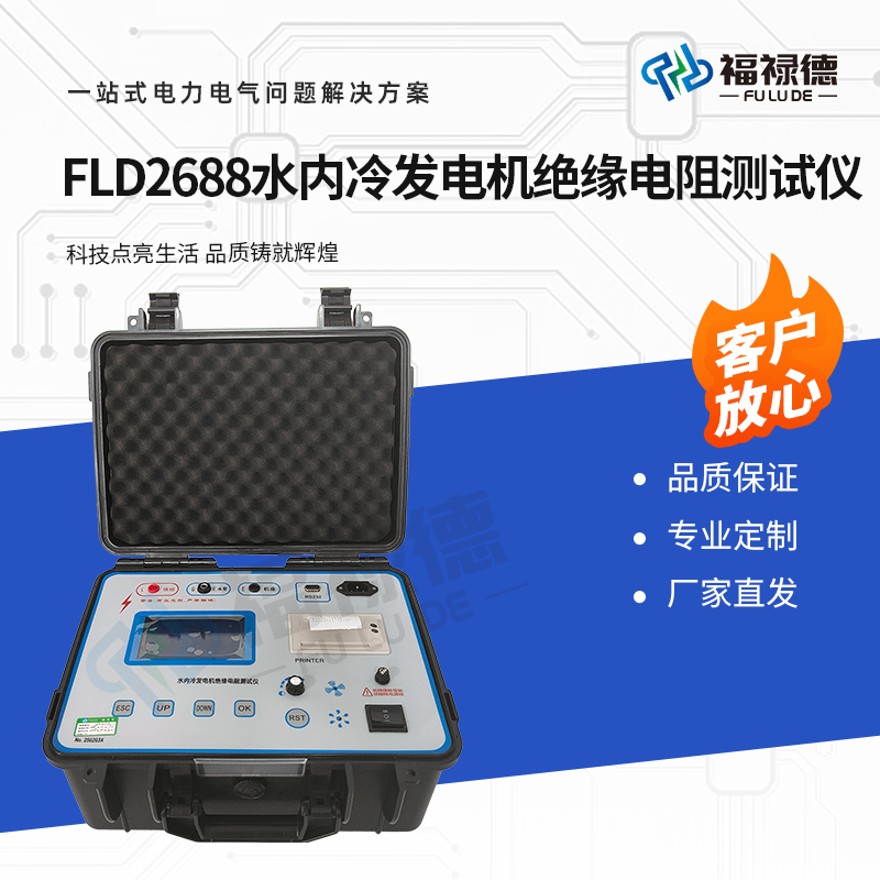 福禄德 FLD2688 水内冷发电机绝缘电阻测试仪 高清数显 测量精准 厂家