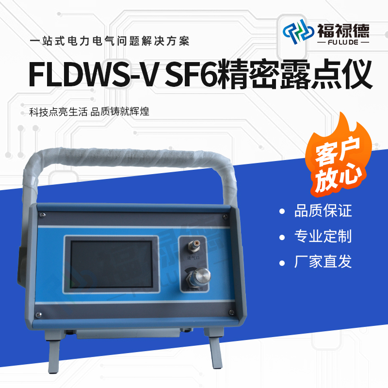 福禄德 FLDWS-V SF6精密露点仪 六氟化硫气体微水测量仪 电气试验设备
