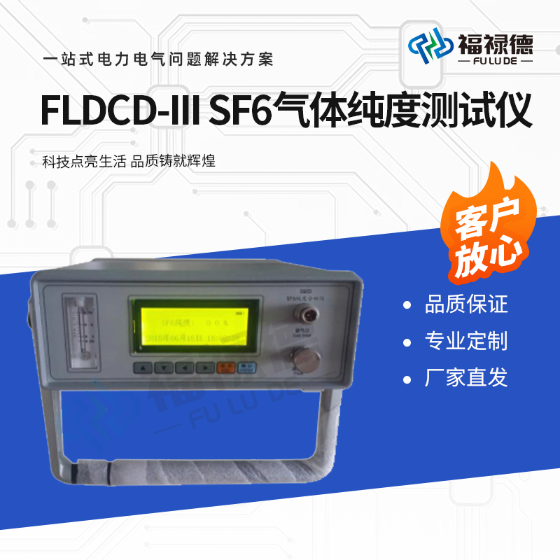 福禄德 FLDCD-III SF6气体纯度测试仪 手提式智能六氟化硫检测仪设备