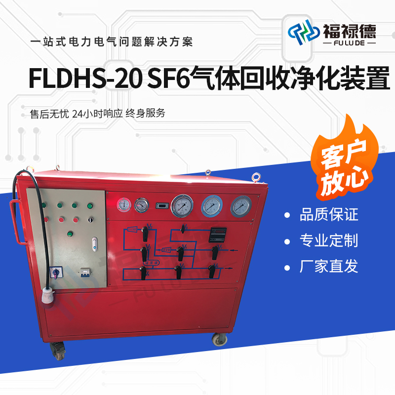 福禄德 FLDHS-20 SF6气体回收净化装置 国产智能型抽真空设备 可定制
