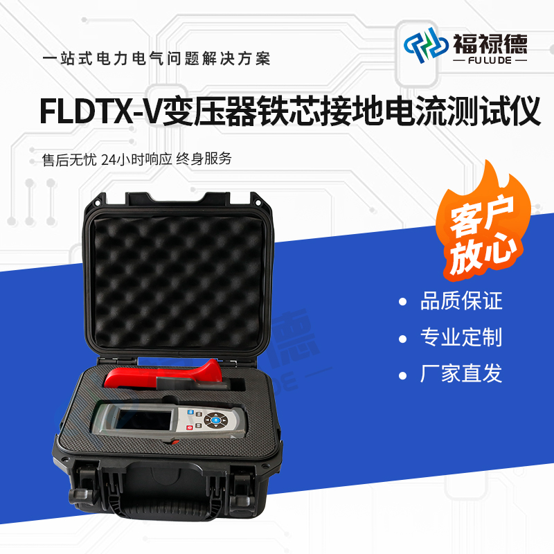 福禄德 FLDTX-V 变压器铁芯接地电流测试仪 实时显示测量数据及波形