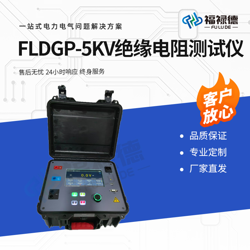 福禄德 FLDGP-5KV 绝缘电阻测试仪 体积表面电阻率测定仪 便携式 可定