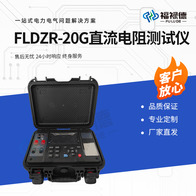 福禄德 FLDZR-20G 直流电阻测试仪 电桥快速检测仪 变压器直阻仪 厂家